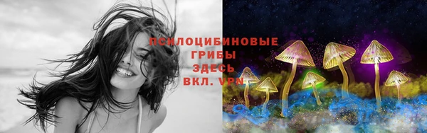 дмт Балахна