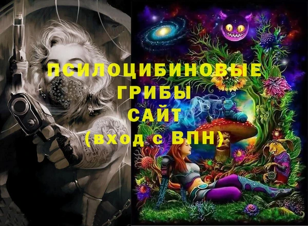 дмт Балахна